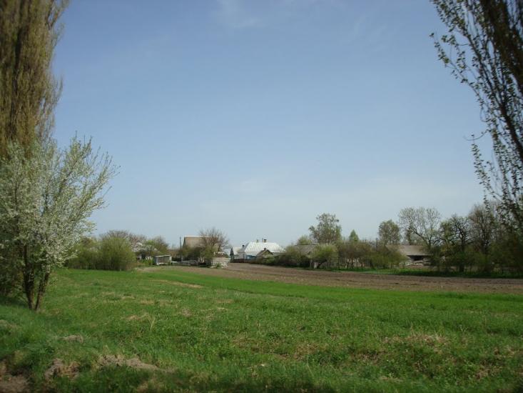 Дроздні з panoramio.com - Дроздні