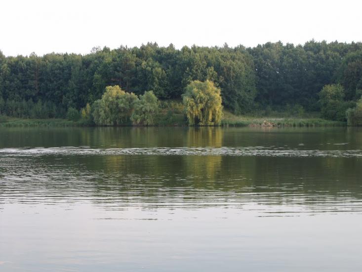 Чернин з panoramio.com - Чернин