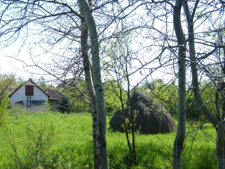 Оклі Гедь з panoramio.com - Окли Гедь