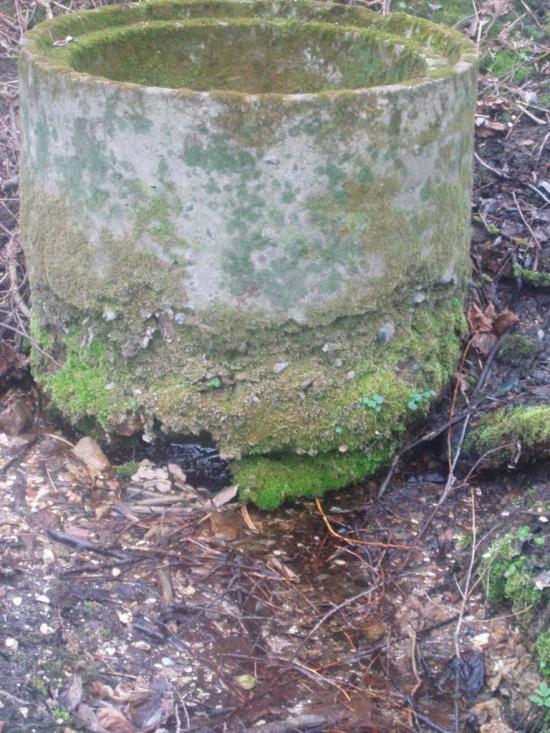 Радиславка з panoramio.com - Радиславка