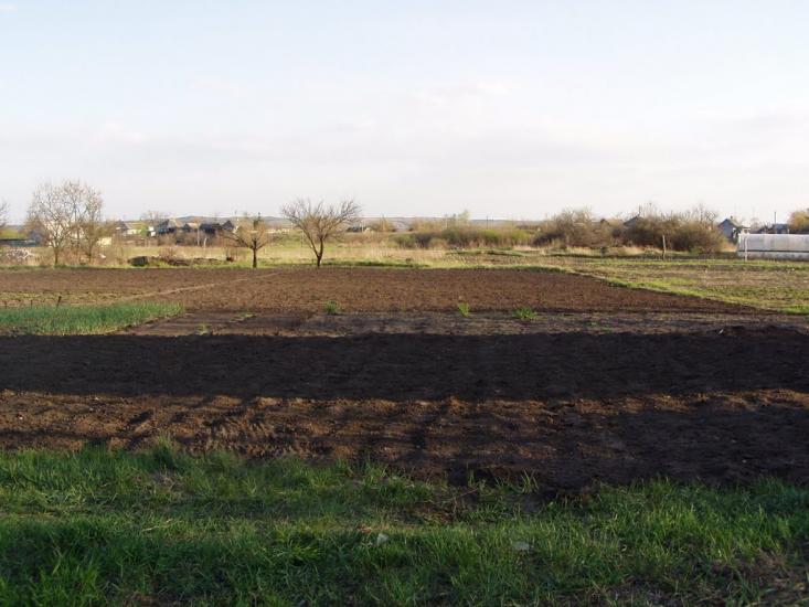 Ямпіль з panoramio.com - Yampil