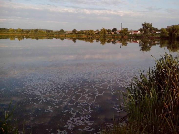 Велика Багачка з panoramio.com - Великая Багачка