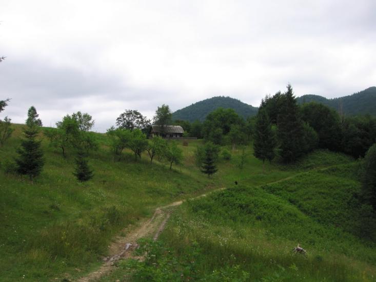 Хорови з panoramio.com - Khorovy