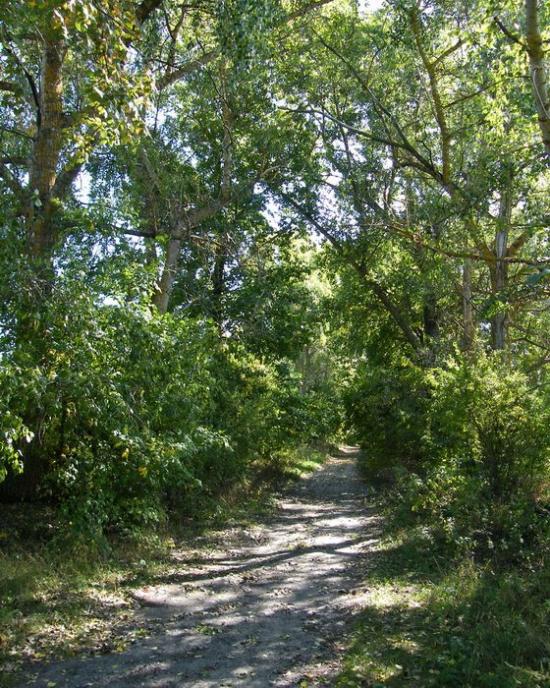 Покошичі з panoramio.com - Покошичи