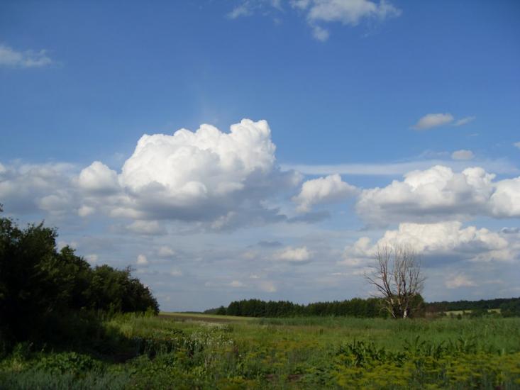 Латишівка з panoramio.com - Латышовка