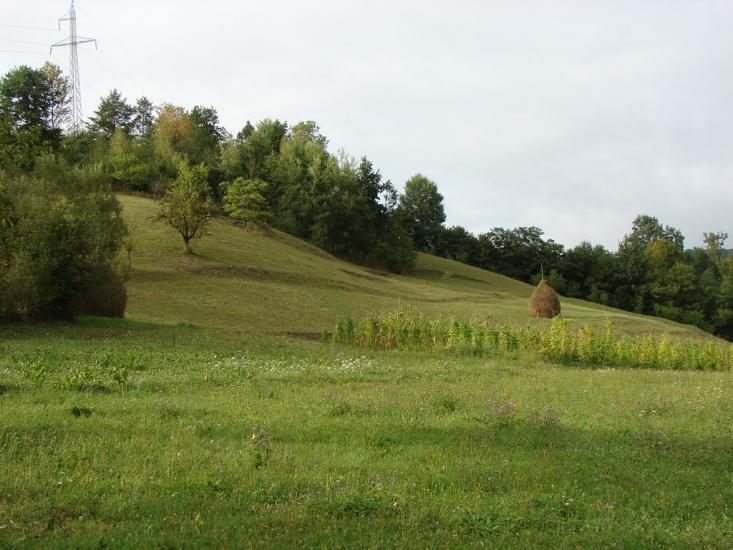 Хмелів з panoramio.com - Khmeliv