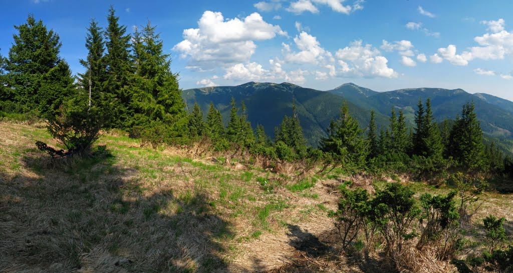 Осмолода з panoramio.com (ч.2) - Осмолода