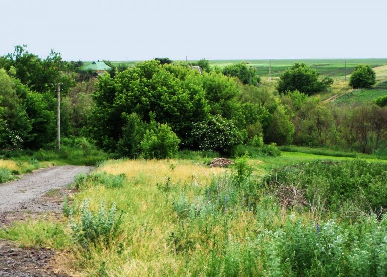 Гур'їв Козачок з panoramio.com - Гур'їв Козачок