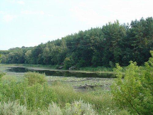 Іванків з panoramio.com - Іванків