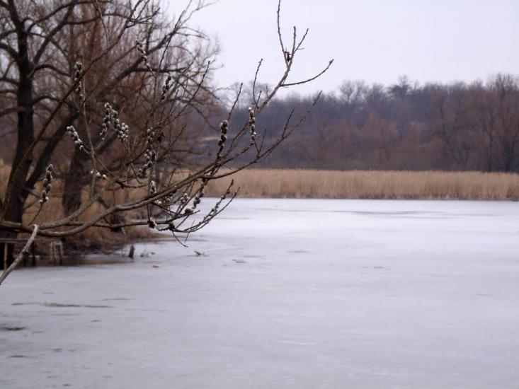 Скалівські Хутори з panoramio.com - Skalivski Khutory