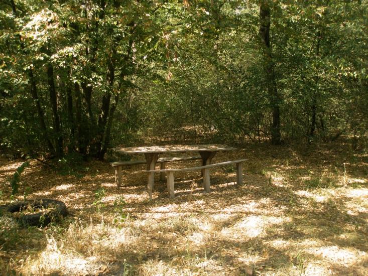 Лісники з panoramio.com - Лесники