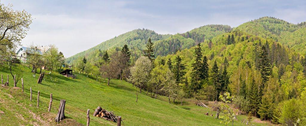 Хорови з panoramio.com - Khorovy