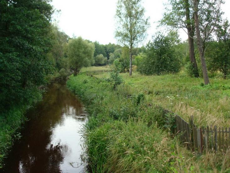 Хрипськ з panoramio.com - Khrypsk