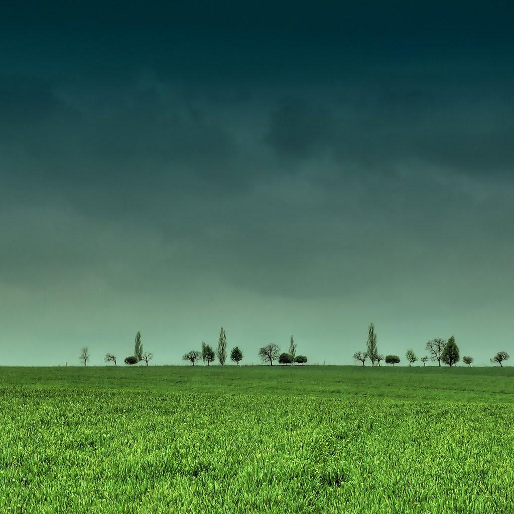 Огороднє з panoramio.com - Огороднє