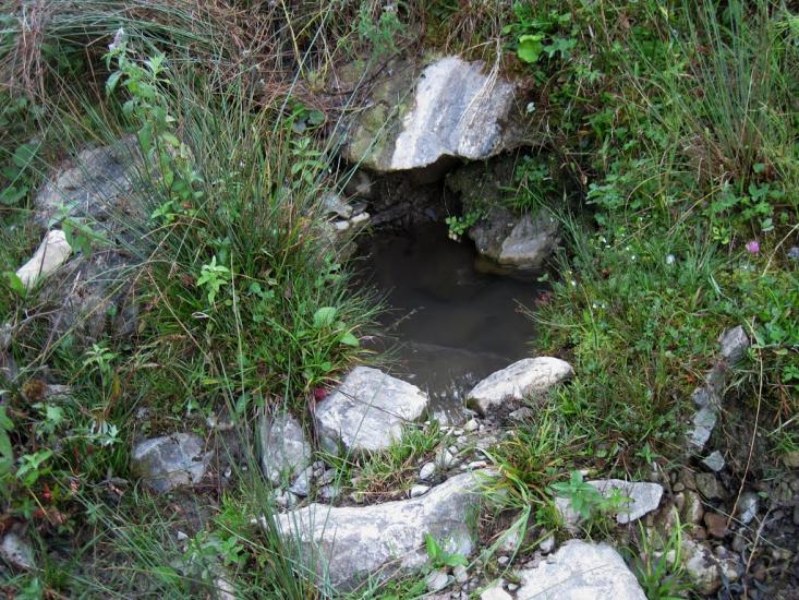 Усть-Путила з panoramio.com - Усть-Путила