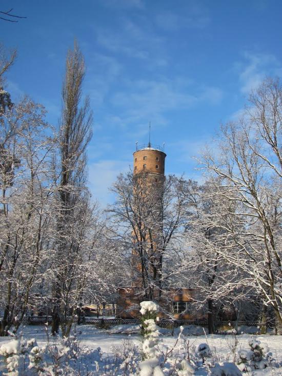 Гончарівське з panoramio.com - Гончарівське