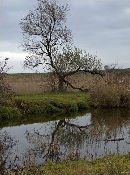 Широке з panoramio.com - Широке