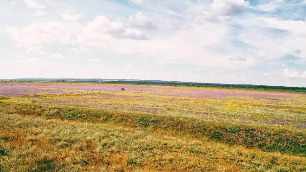 Троїцьке з panoramio.com - Троїцьке