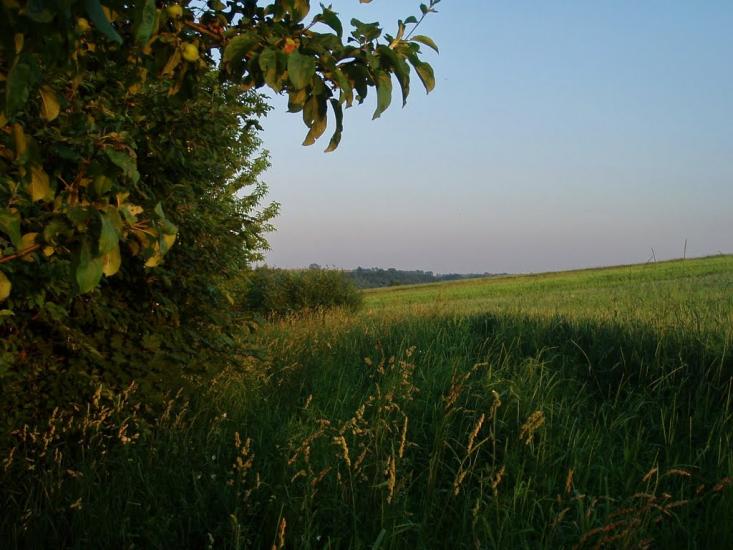 Городище з panoramio.com - Городище