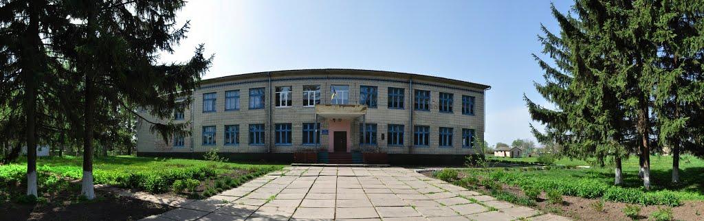 Кривошиїнці з panoramio.com - Кривошиїнці