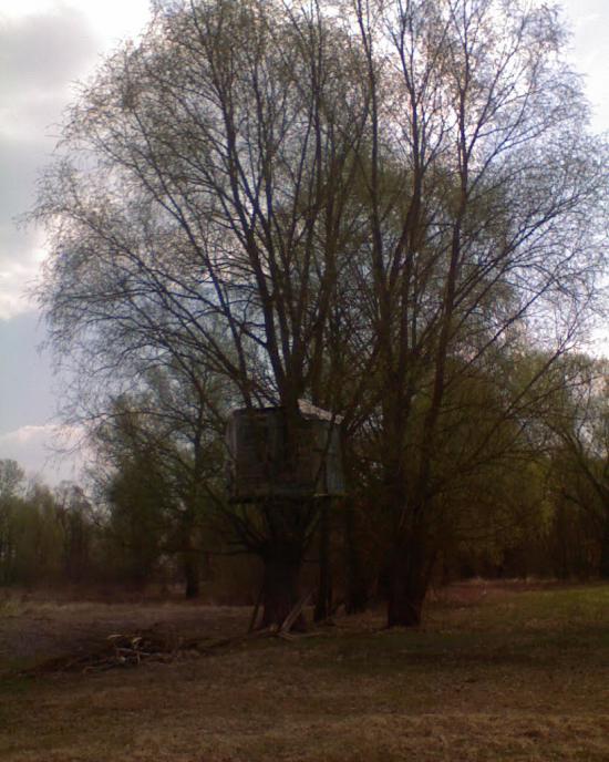 Надинівка з panoramio.com - Надинівка