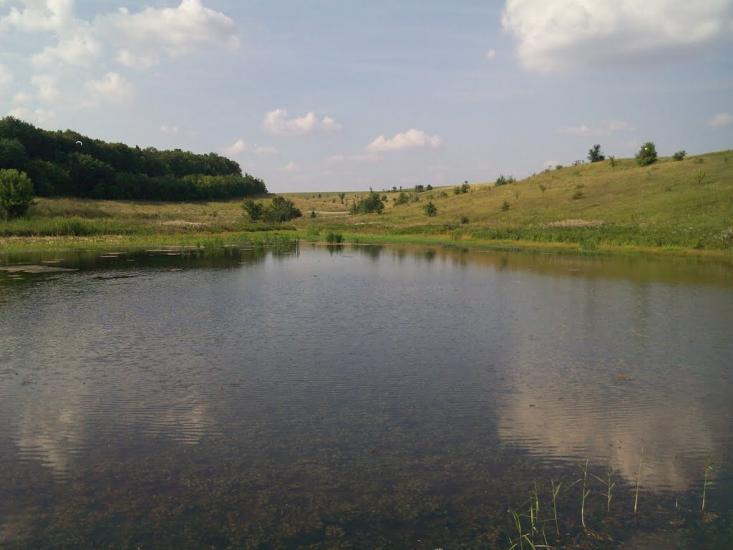 Гопчиця з panoramio.com - Гопчиця