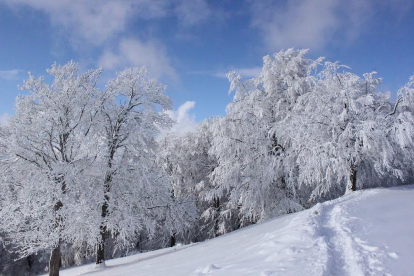 Кваси з panoramio.com - Kvasy