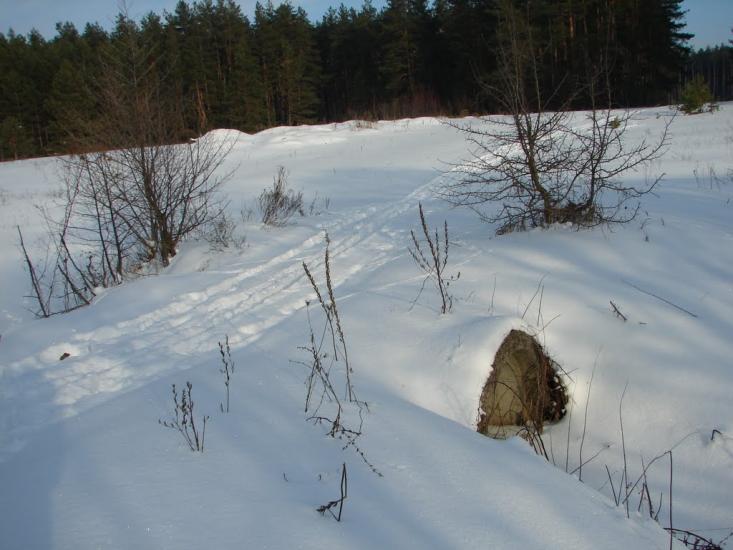 Мохначі з panoramio.com - Мохначі