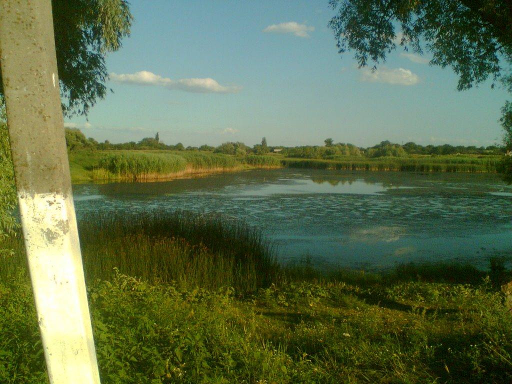Градизьк з panoramio.com - Gradyzk
