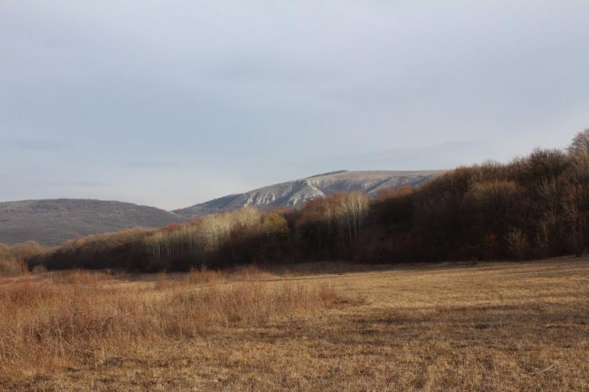 Пчолине з panoramio.com - Pcholyne