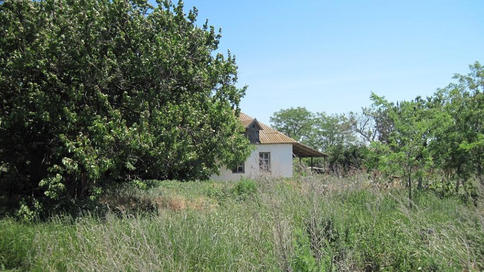 Олександрівка з panoramio.com - Олександрівка