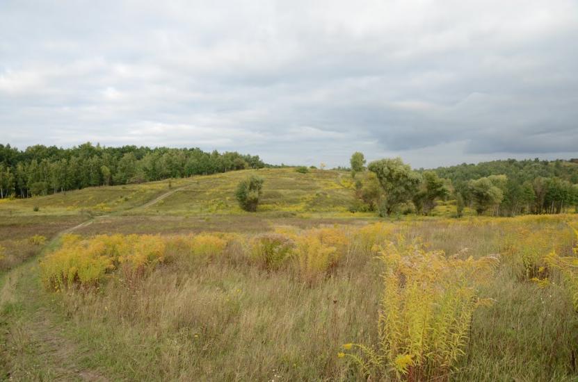 Лісники з panoramio.com - Лесники