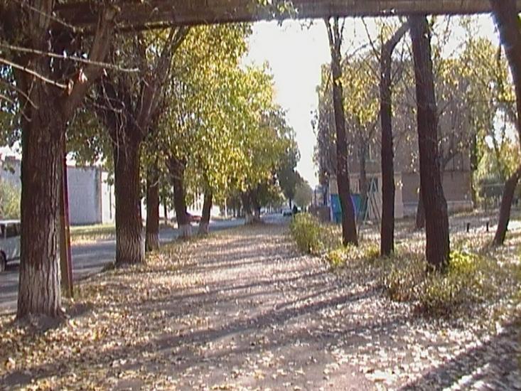 Петровське з panoramio.com - Петровское