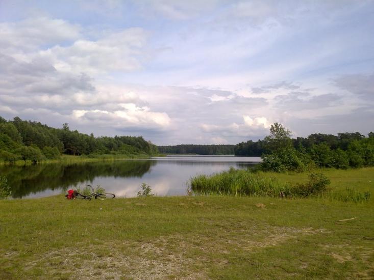 Коти з panoramio.com - Коты