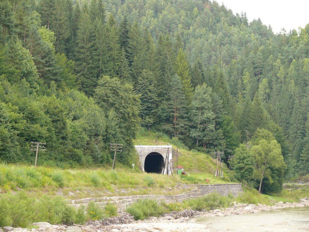 Вороненко з panoramio.com - Voronenko