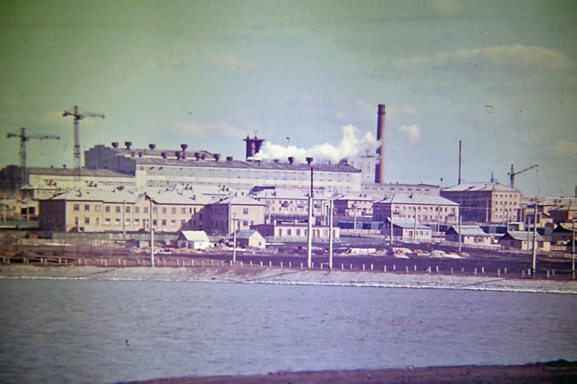 Новогригорівка Перша з panoramio.com - Новогригорівка Перша