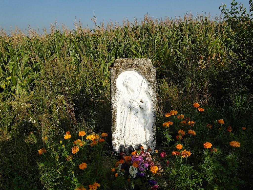 Тарноруда з panoramio.com - Тарноруда