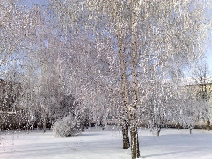 Братсько-Семенівка з panoramio.com - Братско-Семеновка