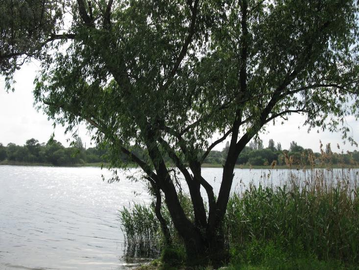 Інгулець з panoramio.com - Інгулець