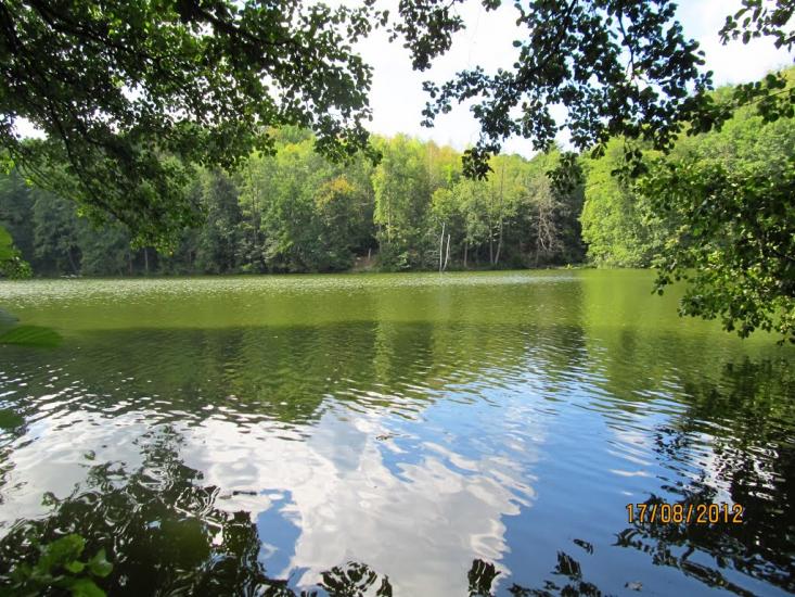 Межиріч з panoramio.com - Межиріч