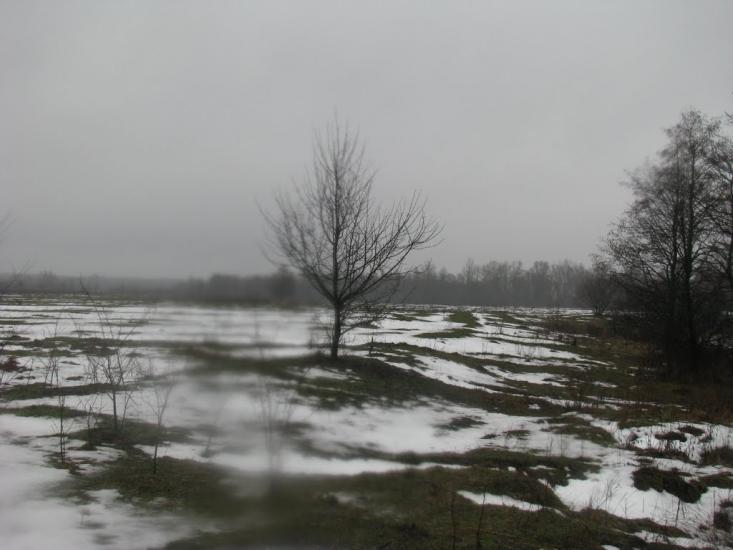 Миси з panoramio.com - Mysy
