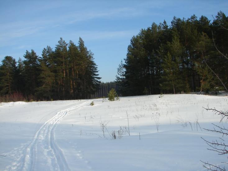 Мохначі з panoramio.com - Мохначі