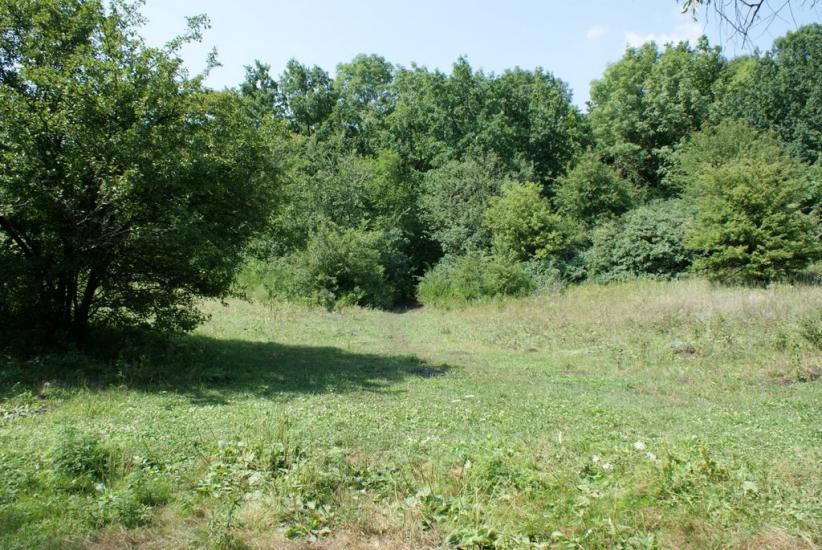 Прогрес з panoramio.com - Прогрес