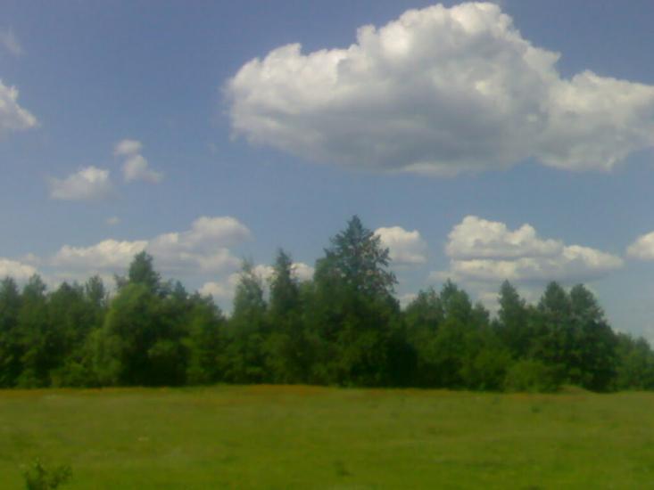 Чапліївка з panoramio.com - Чапліївка