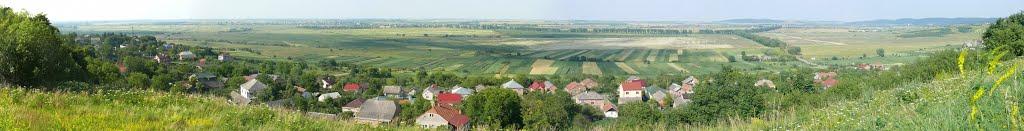 Відники з panoramio.com - Відники