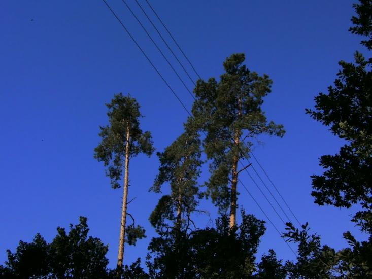 Гончарівське з panoramio.com - Гончаровское