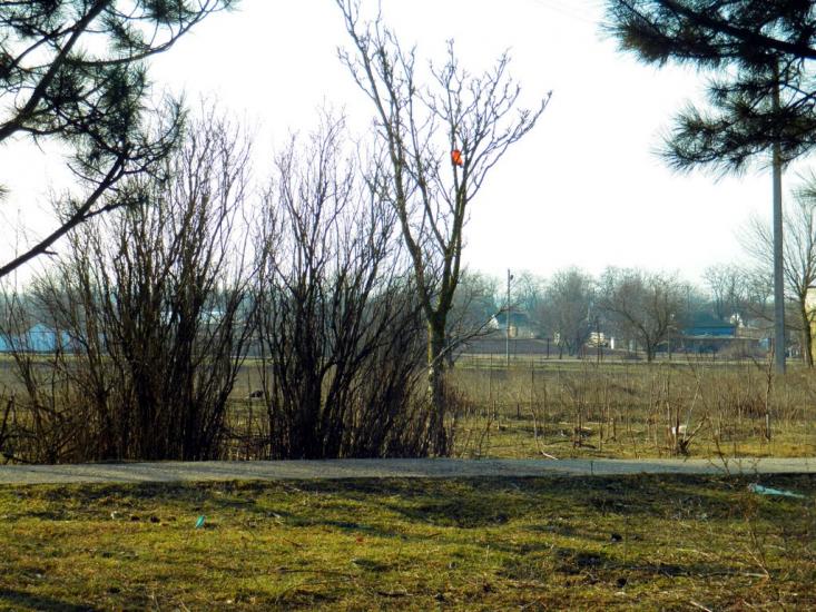 Миролюбівка з panoramio.com - Миролюбівка