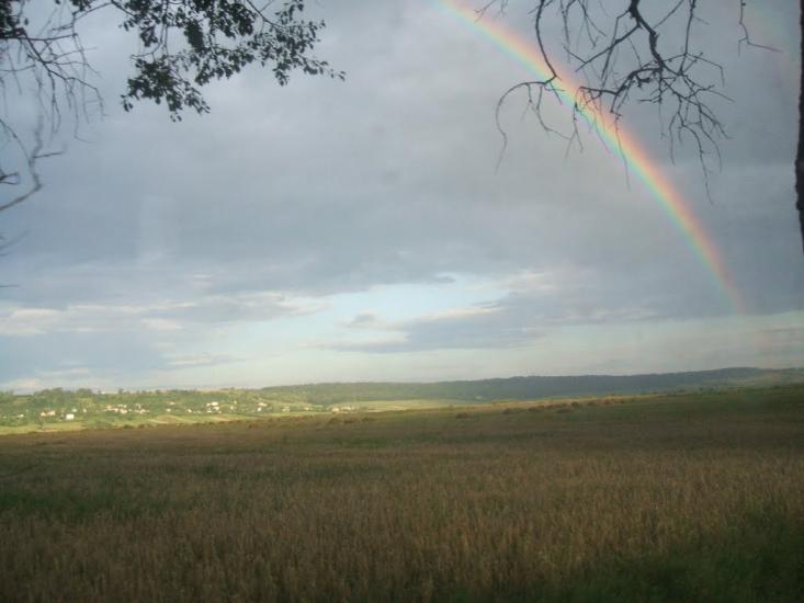 Відники з panoramio.com - Відники