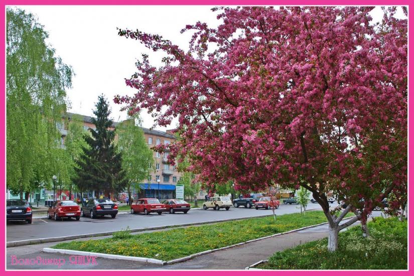 Радивилів з panoramio.com - Радивилов