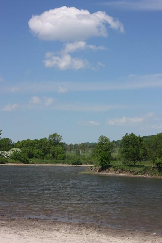 Сасів з panoramio.com - Сасов